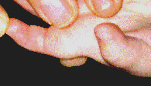 Finger3.jpg